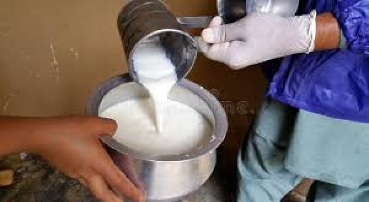 Organic Milk Supplier Services